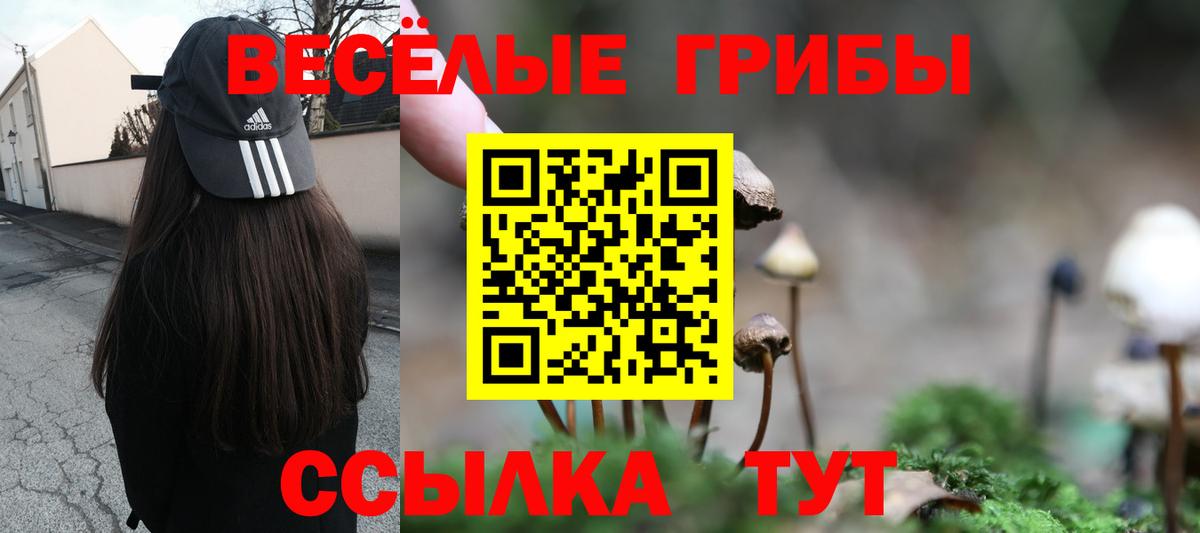 Назрань  Псилоцибиновые грибы Magic Shrooms  Вход с VPN 